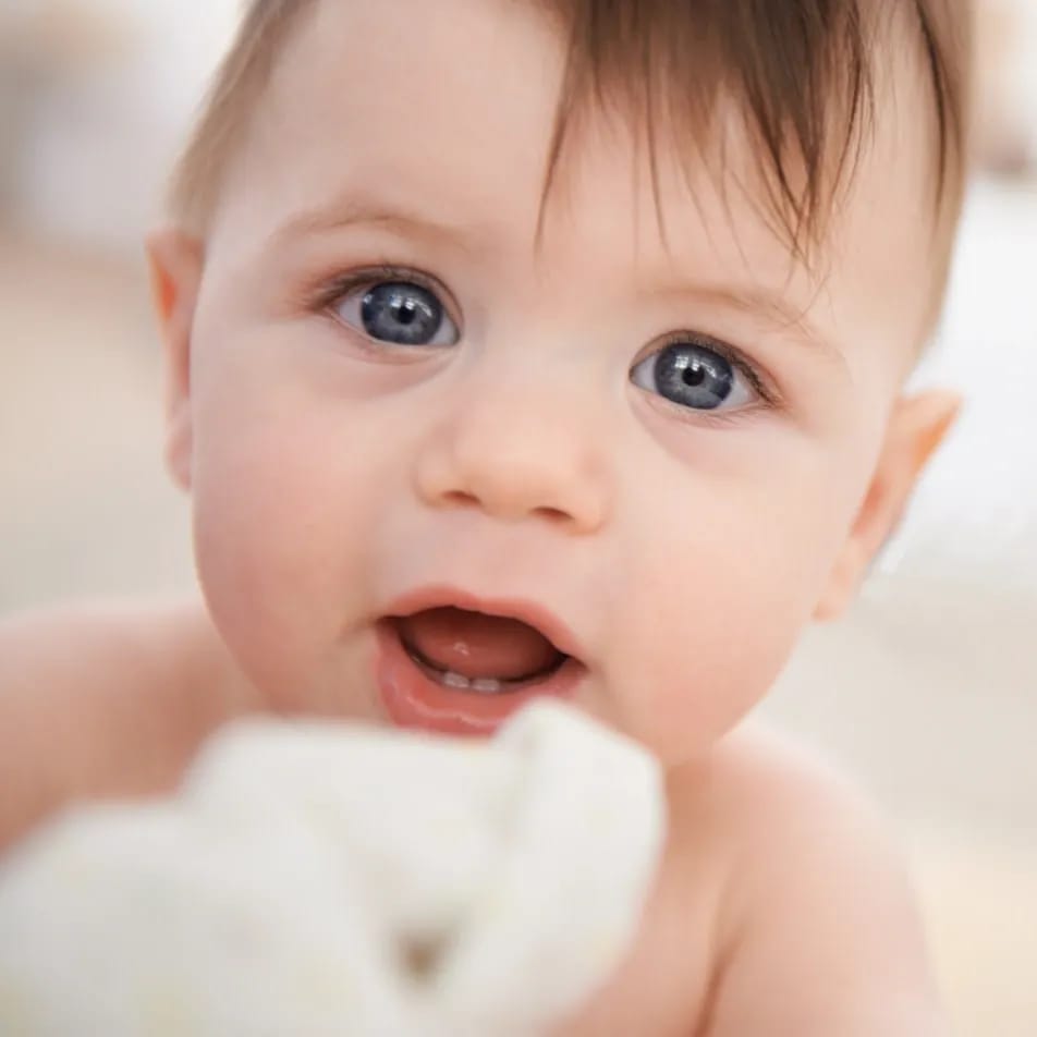 A higiene oral deve começar desde bebé A higiene oral deve começar desde bebé